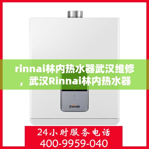 rinnai林内热水器武汉维修，武汉Rinnai林内热水器专业维修服务