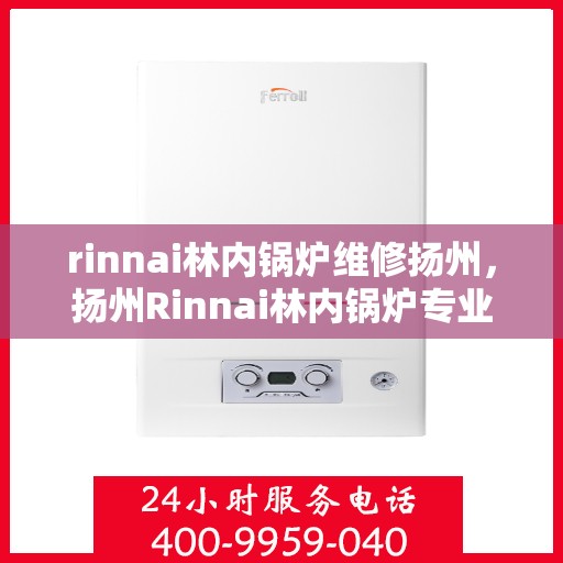 rinnai林内锅炉维修扬州，扬州Rinnai林内锅炉专业维修服务