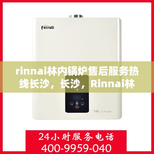 rinnai林内锅炉售后服务热线长沙，长沙，Rinnai林内锅炉售后服务热线全面支持，专业团队为您解答疑难